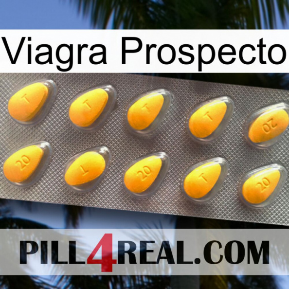 Prospecto Viagra cialis1.jpg